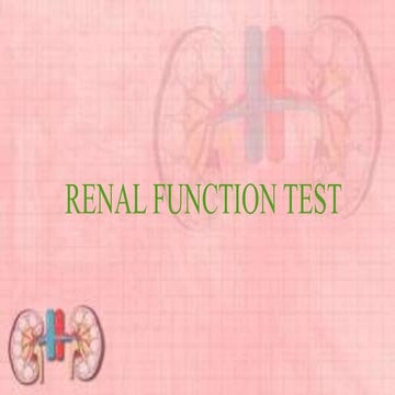 Renal function test