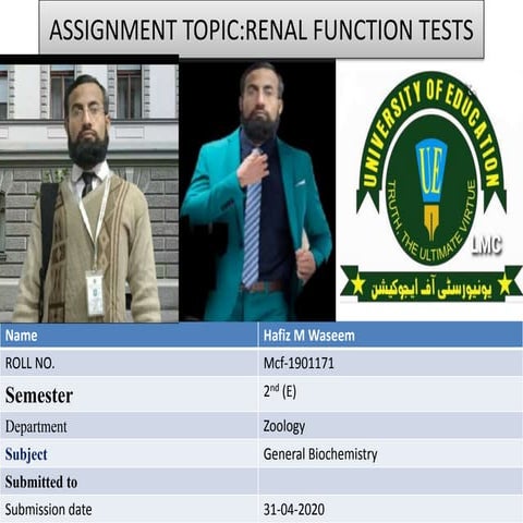 Renal function test