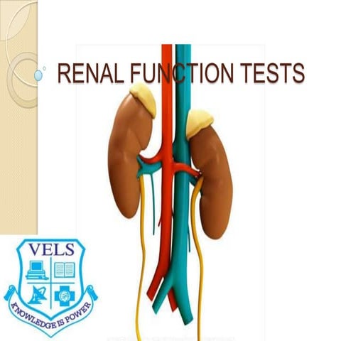 Renal function tests