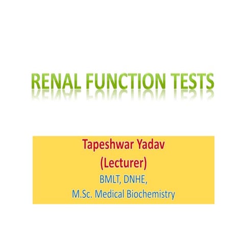Renal function tests