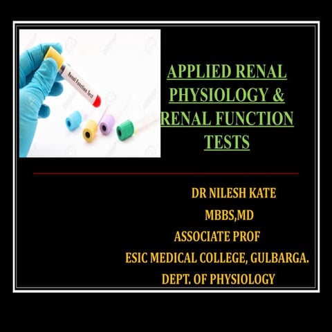 RENAL FUNCTION TESTS
