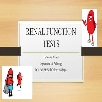 Renal function tests