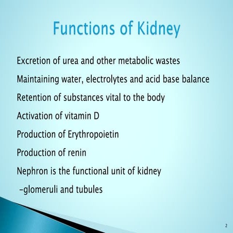 Renal function tests  - Dr. K. Santha