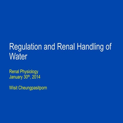 Renal handling of water