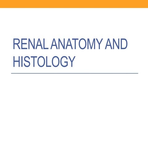 Renal Histology