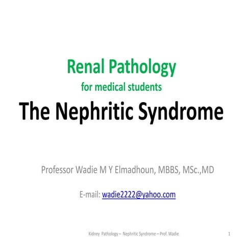 Renal pathology  the nephritic syndrome- prof wadie