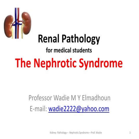 Renal pathology  the nephrotic syndrome- prof wadie
