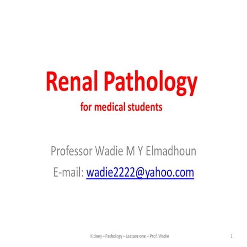 Renal pathology lecture 1 prof wadie elmadhoun