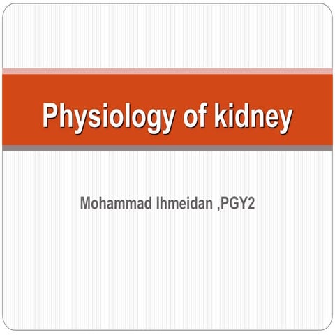 Renal physiology 