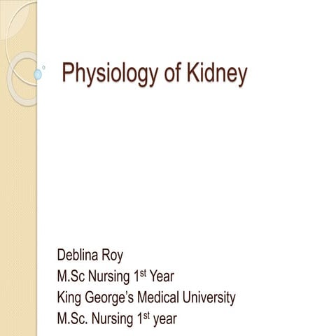 Renal physiology
