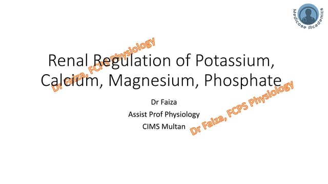 Renal Regulation of Potassium, Calcium, Magnesium and Phosphorus