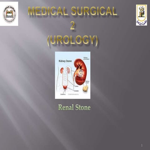Renal Stone Medical Surgical nursing.pptx