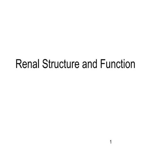 Renal structure and function