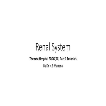 Renal system