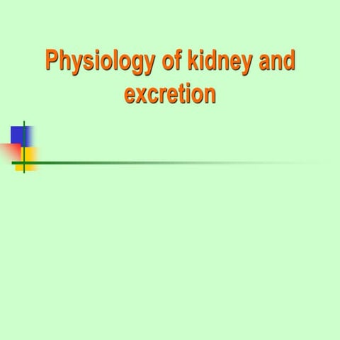Renal system.pdfn nnnnnnnnnnnnnnnnnnnnnnnn