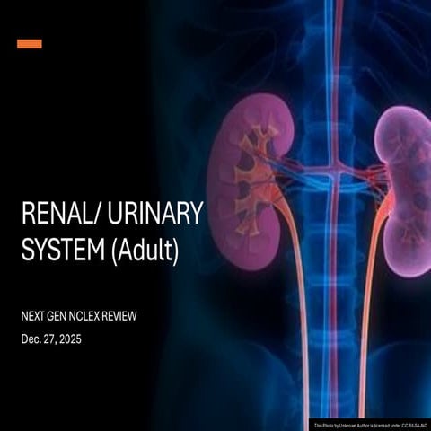 RENAL SYSTEM.(kidney,ureter, bladder and urethra) | PDF