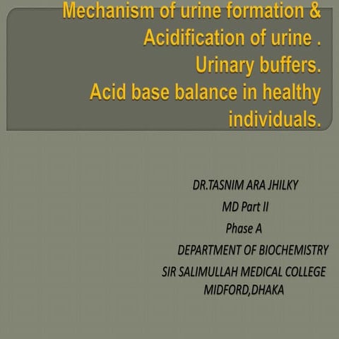 urine formation..mechanism,acidification,urinary buffers by dr.Tasnim