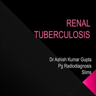 Renal tuberculosis radiology