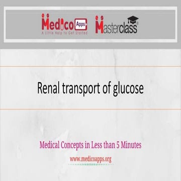 Renal transport of glucose
