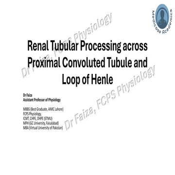 Renal Tubular processing across PCT and LOH