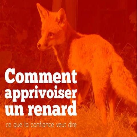 Comment apprivoiser un renard