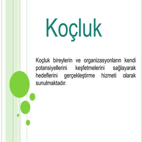 öğRenci koçu