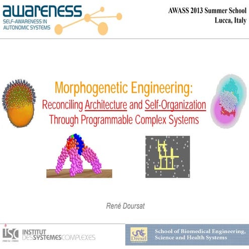 Morphogenetic Engineering: Reconciling Architecture and Self-Organization Thr...
