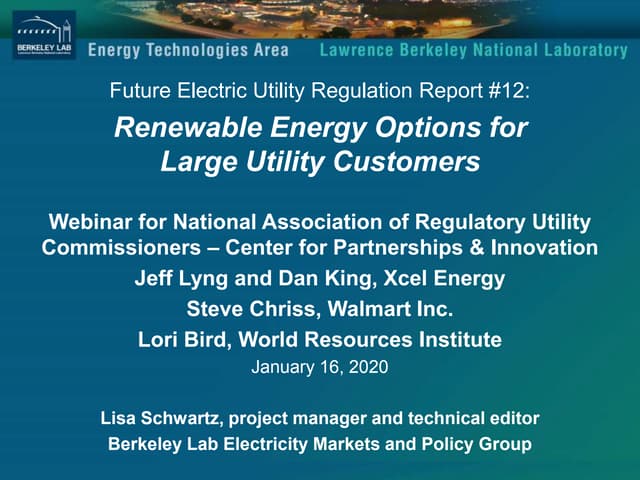Renewable Energy Options for Large Utility Customers
