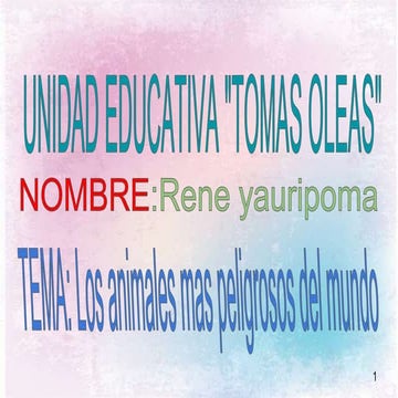 Rene yauripoma