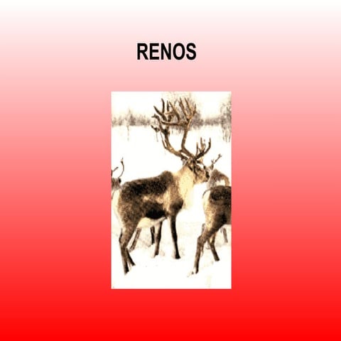 Renos