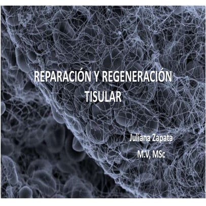 Renovación, reparación y regeneración tisular 