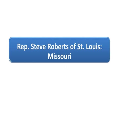 Rep Steven Roberts St Louis: Civic Responsibility | PDF