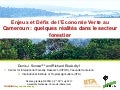 thumbnail of  Enjeus et défis de l'economie verte au Cameroun: Quelques réalités dans le secteur forestier