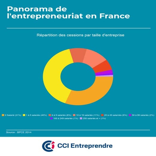Répartition des cessions par taille d'entreprise - Panorama des entreprises