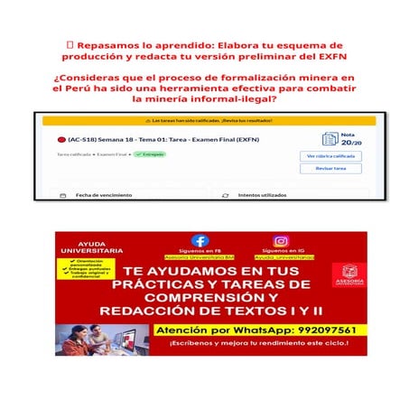 TRABAJO FINAL - PSICOLOGIA EXPERIMENTAL. | PDF