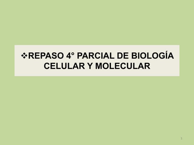 Repaso 4 parcial biologia
