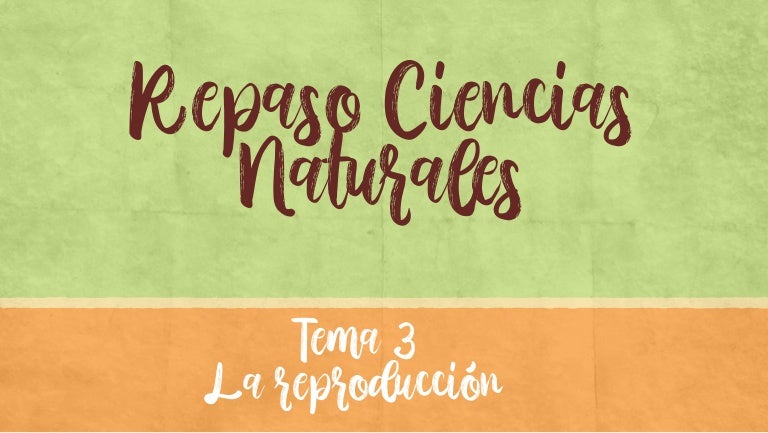 Repaso ciencias naturales tema 3