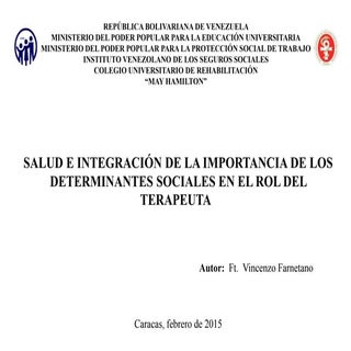 Salud y rol del fisioterapeuta en l...