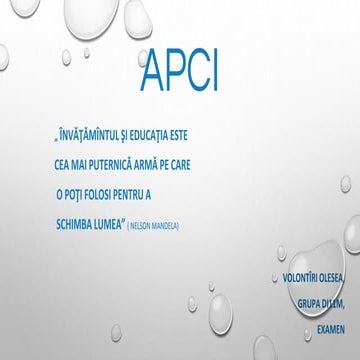 Abordarea prin competențe la informatica