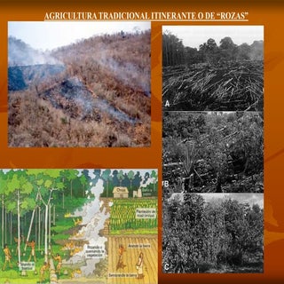 Repertorio de fotos de paisajes agr...