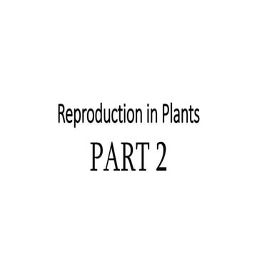 Rep in plants 2