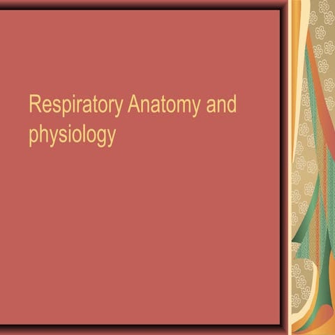 Repiratory anatomy and physiology 
