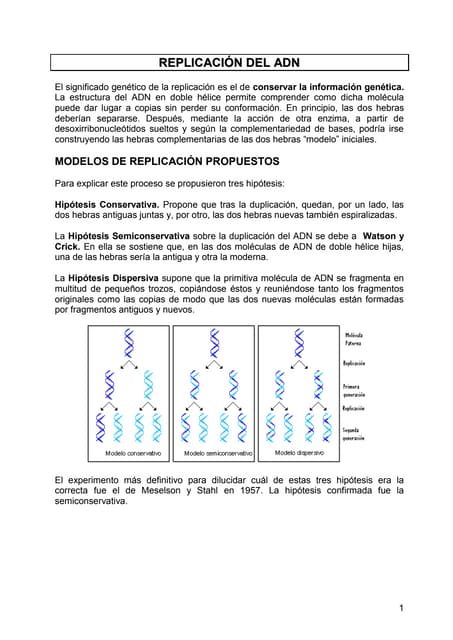 Ciclo de krebs | PPT
