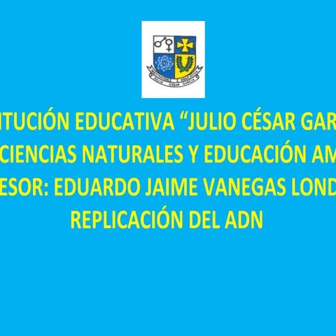R E P L I C A C IÓ N  D E L  A D N (97  2003)