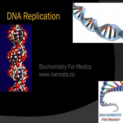  DNA Replication