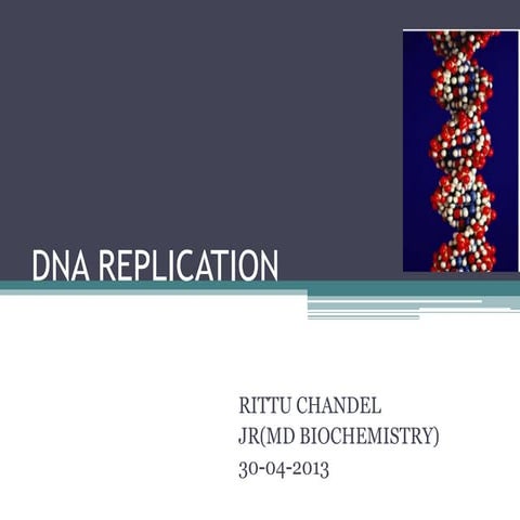  DNA Replication