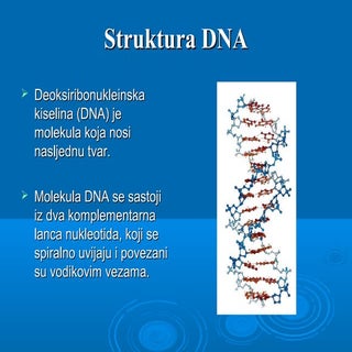 Replikacija DNA