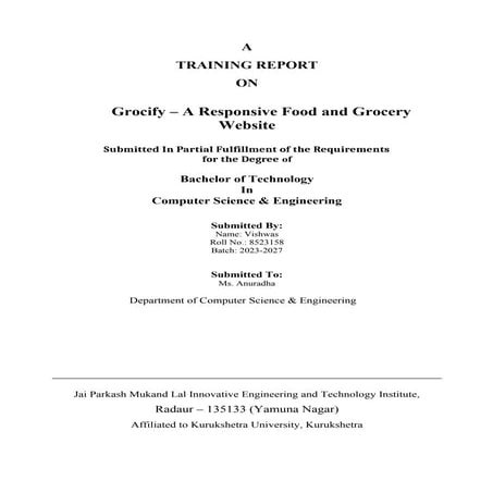 report for the new constrained project.pdf