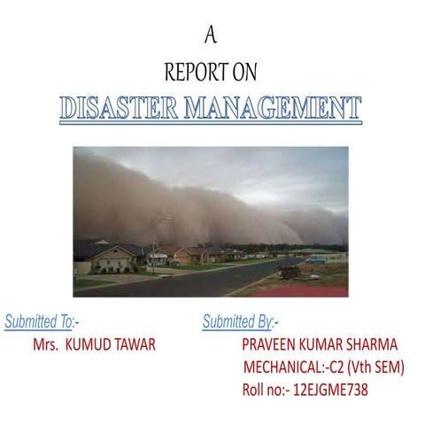 Report ON 2013 EARTHQUAKE AND TSUNAMI 