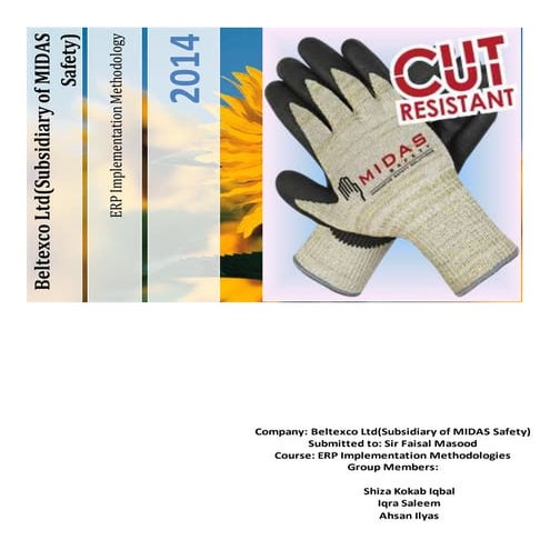 SAP-ERP implementation Report